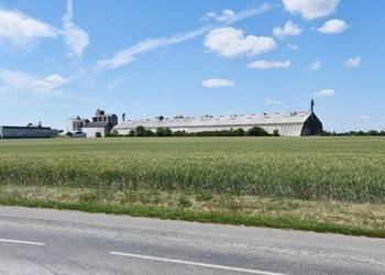 Graan schuur, Graan T's, agriwanden, CBS Beton, Landbouw