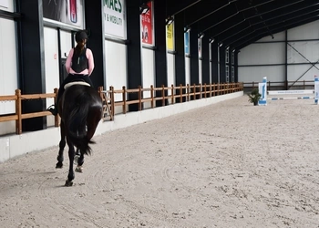 paardenpiste, keerwanden, manege, betonnen wanden, CBS Beton